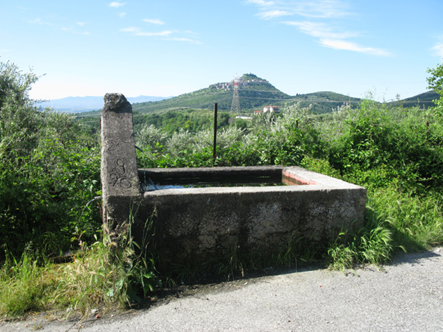 altri fontanili
